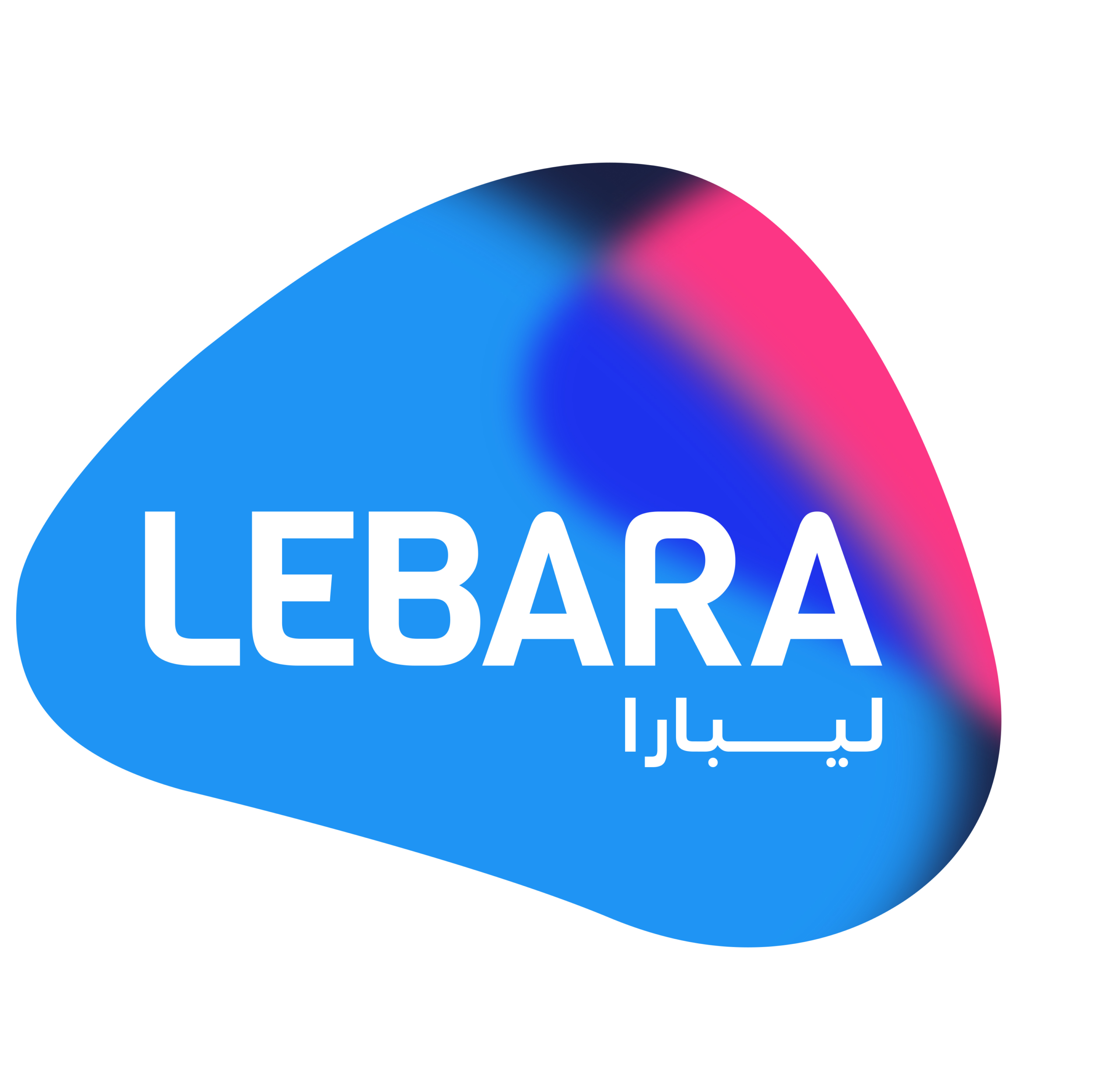 Lebara – Multinational Telecom Company